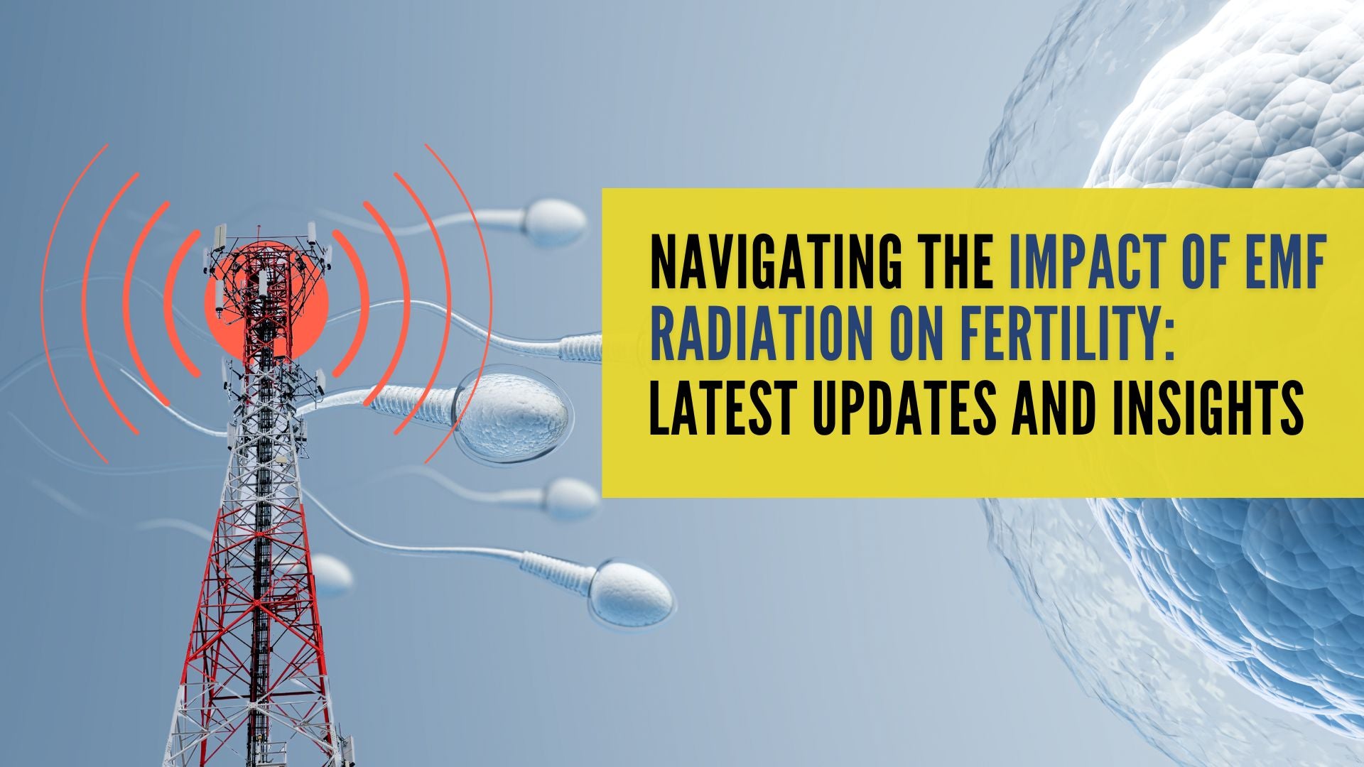 Navigating the Impact of EMF Radiation on Fertility: Latest Updates and Insights